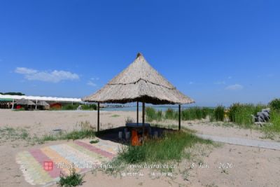 长青公园