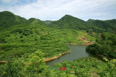 龙鹄山