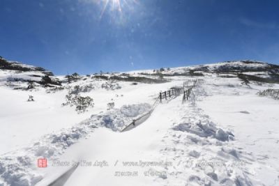 梅苑南山滑雪场