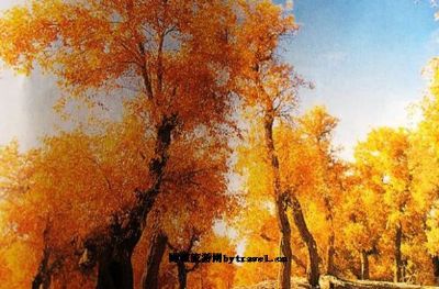 ջݹʺֶȼٴ
