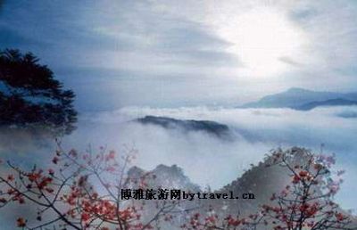 ż羰