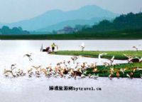 鶫ˮֱ羰