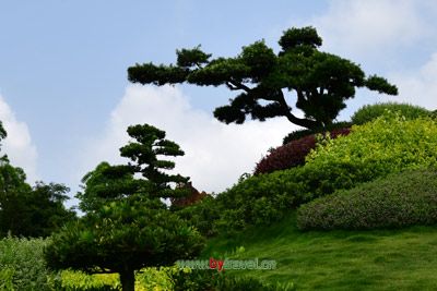 ĹӪӰ
