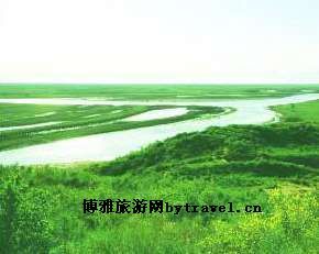 羰