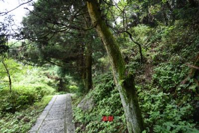 汪Ȼ