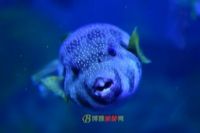 溣