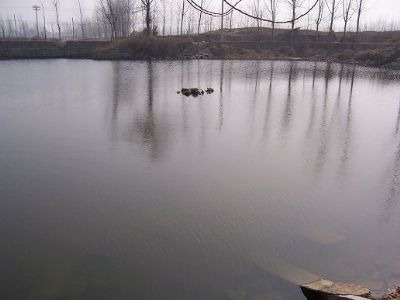 Ȫ