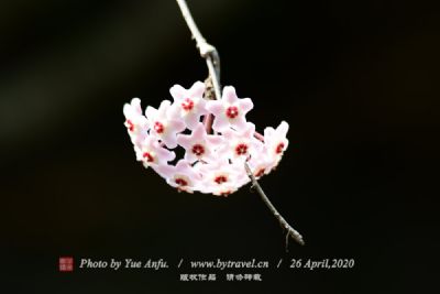 ӢҤַ