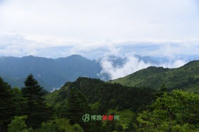 ũũȣ羰룩