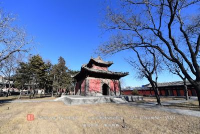 ͺ鸣