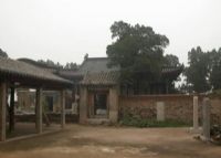 ţ