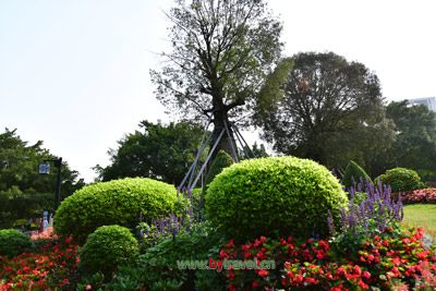 ԥʡί鰲άַ