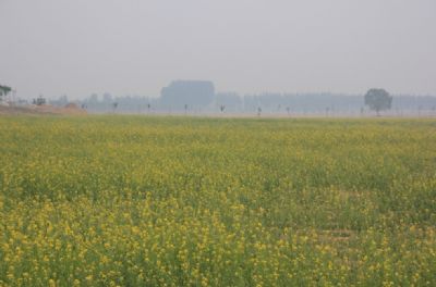 клũ