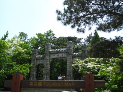 ۶