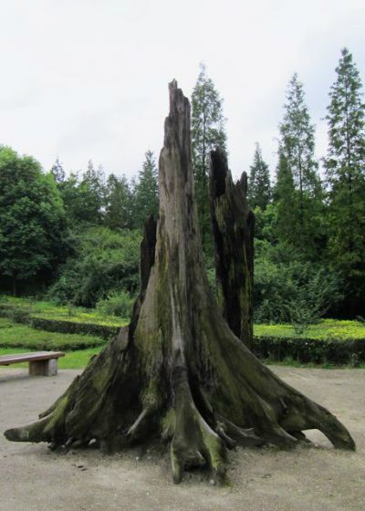 ľ