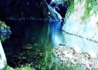 ɽ侮