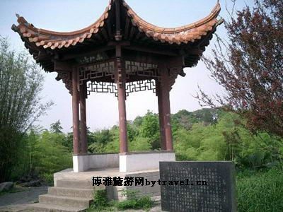 走ַ