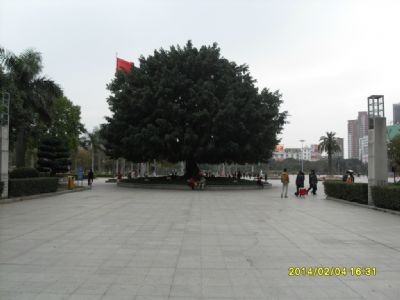 㳡