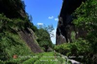 黄河故道地质森林公园