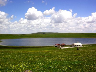 ʮȪȼٴ