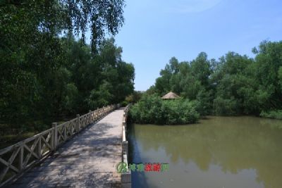 ԴؽʪȻ