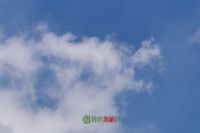 ӶĹȺ