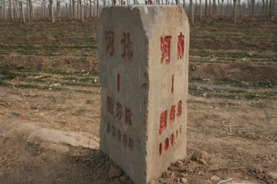 籮