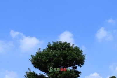 ַ