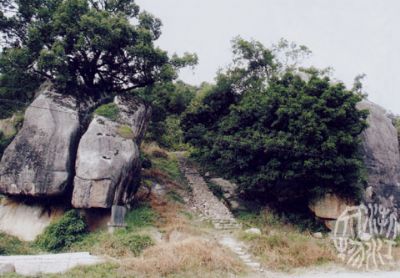 Ǯַ