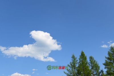 ޴ҶѨַ