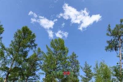 ¶ַ