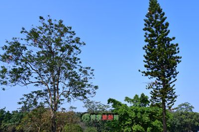 Ļ滮չ