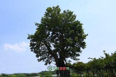 ׯַ