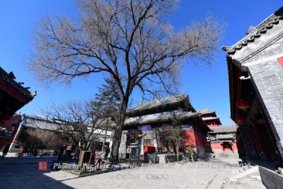 岳姑殿古庙群遗址