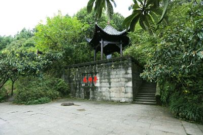 琳琅井