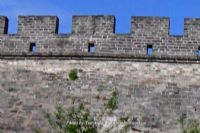 ʳ