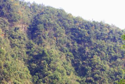 帮ɽǦַ
