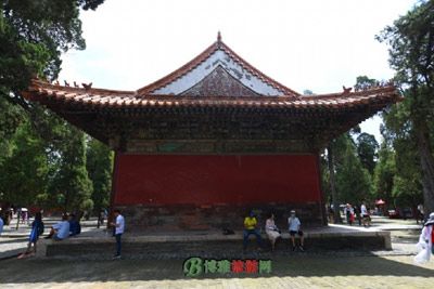 鶫