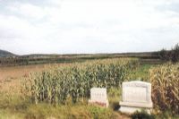ׯַ